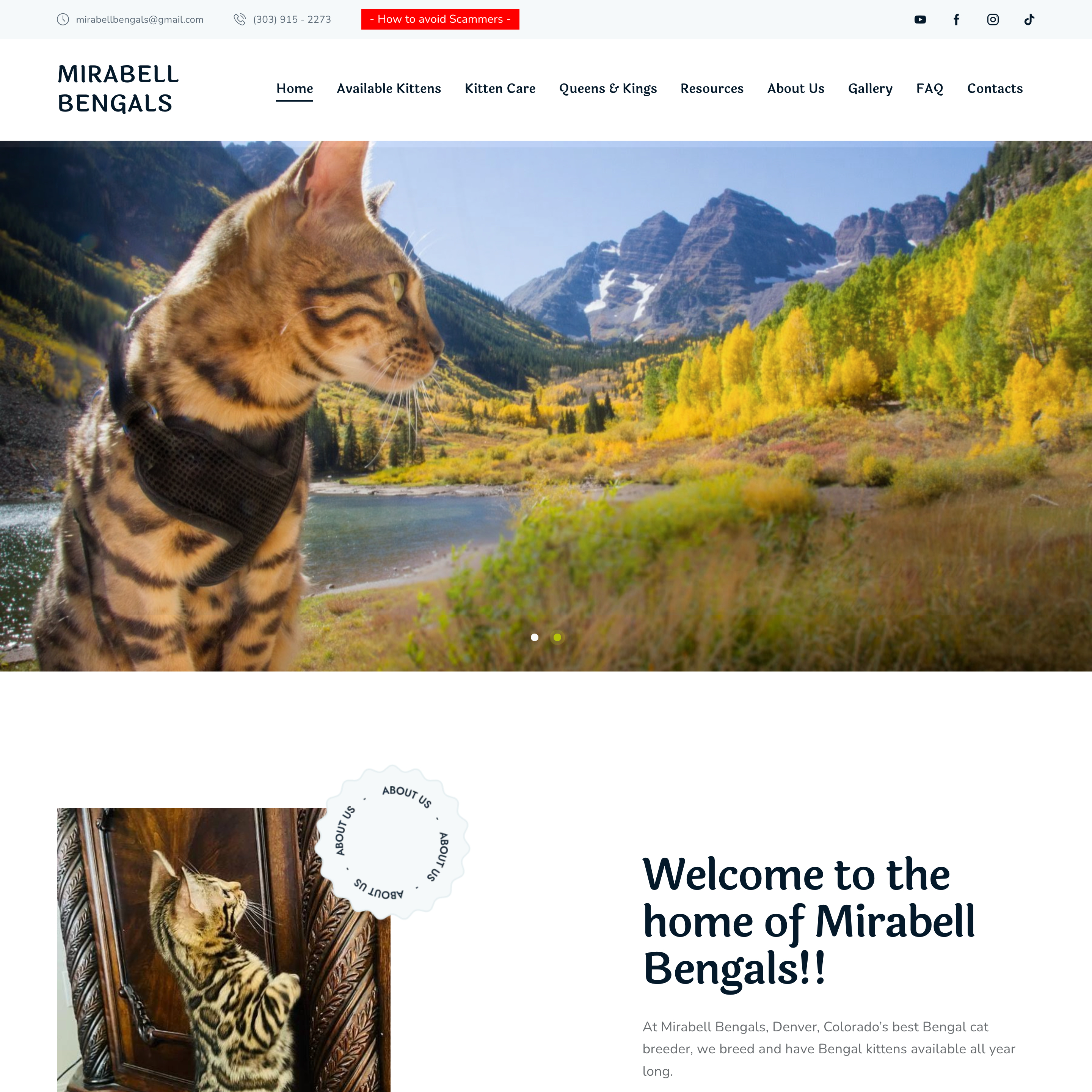 Mirabell Bengals